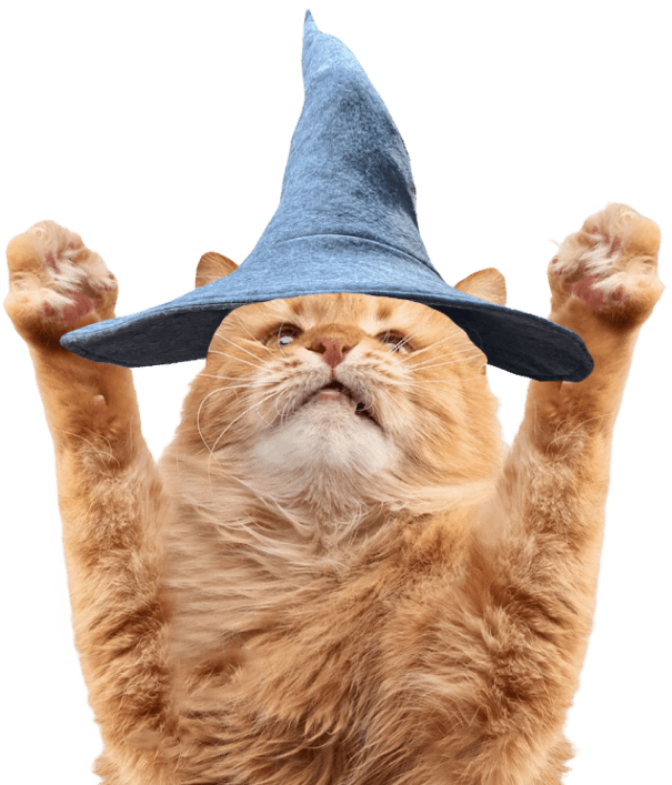 Cat wizard